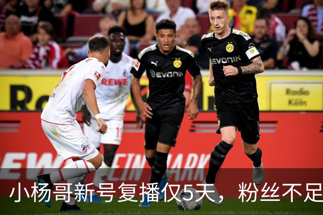 小杨哥新号复播仅5天,粉丝不足10万,直播间观看人数不到2000